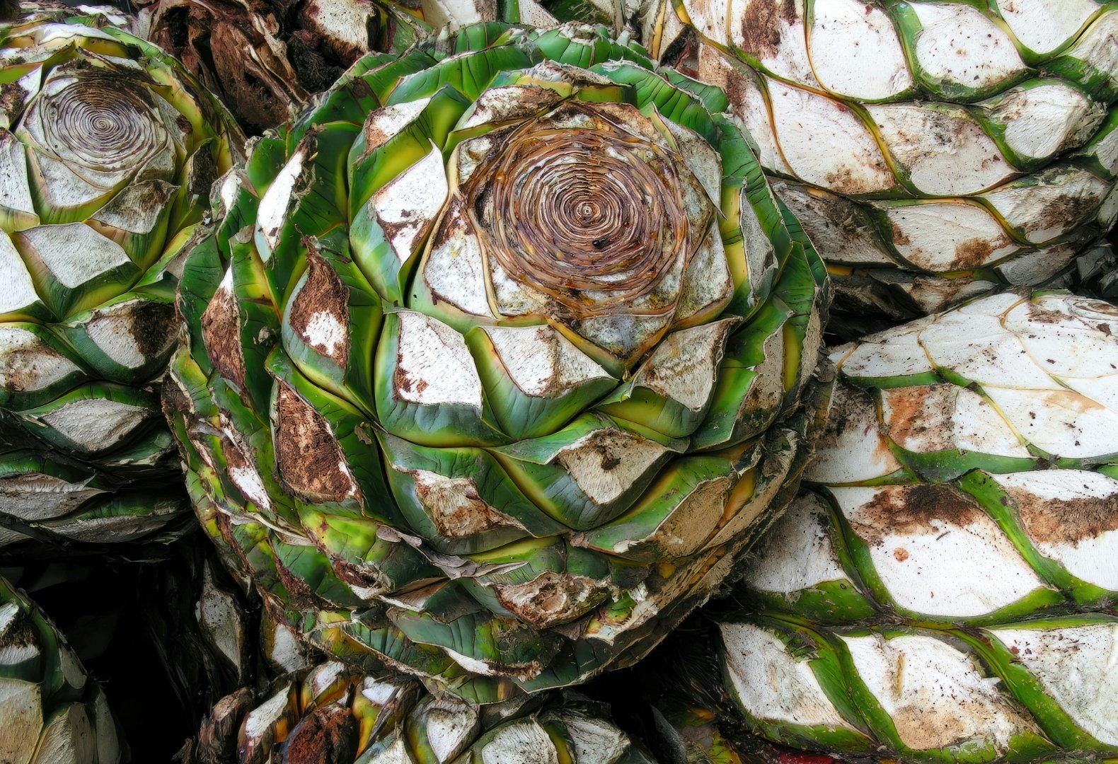 Why Kosher, Halal, and Non-GMO Agave Syrup Suppliers Matter for Global Brands