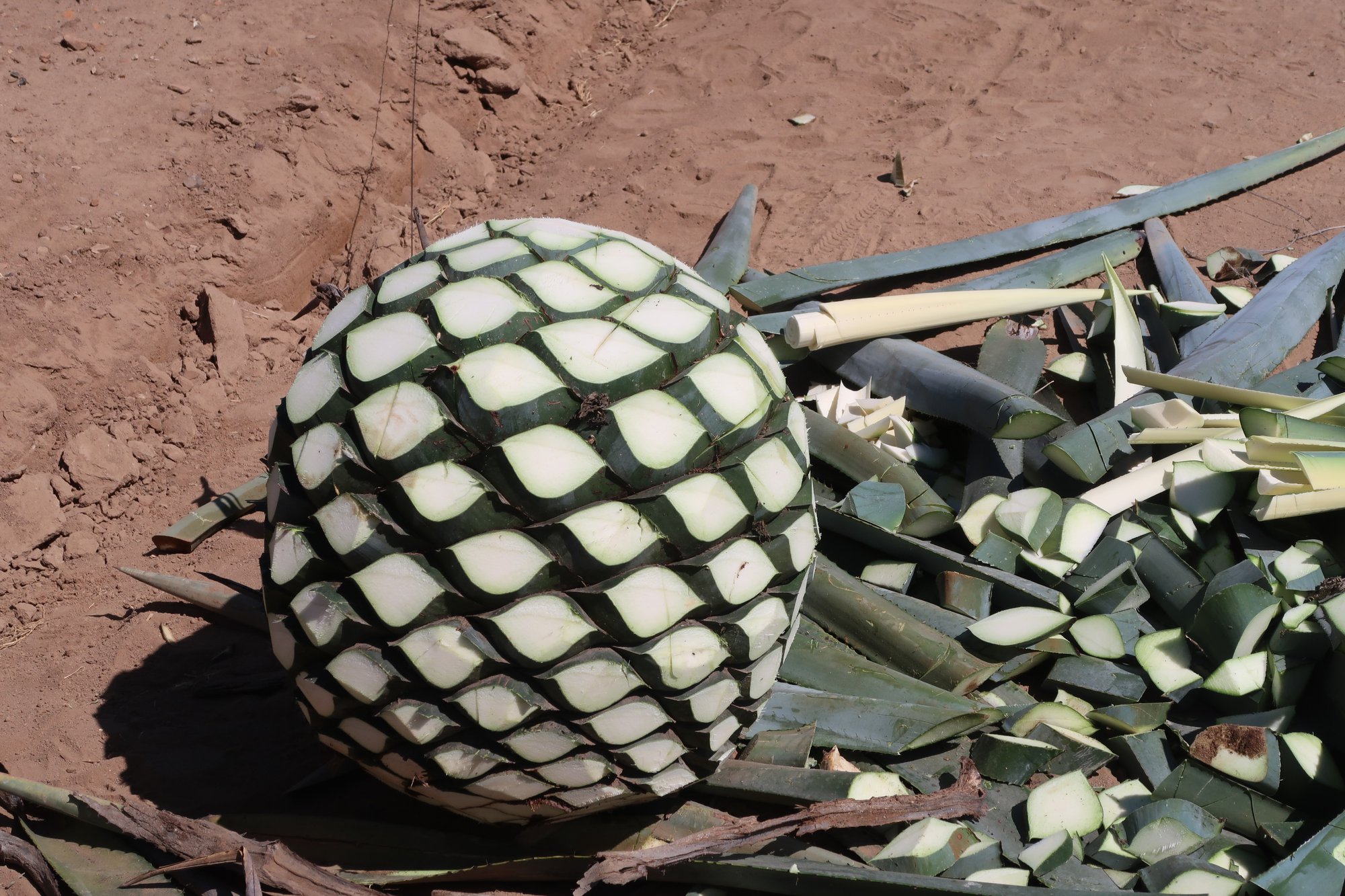 agave syrup agave syrup