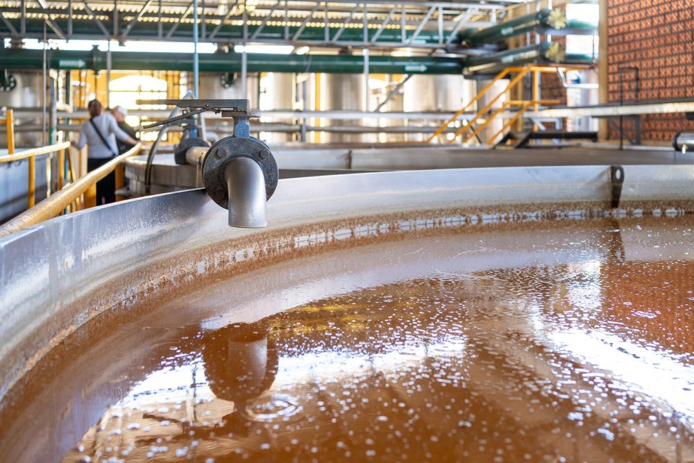 Agave Wine vs. Tequila: Understanding Production, Taste, and Application