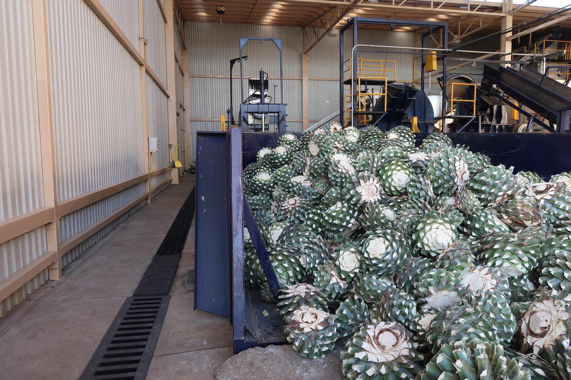 Using Market Data to Optimize Agave Ingredient Sourcing Decisions