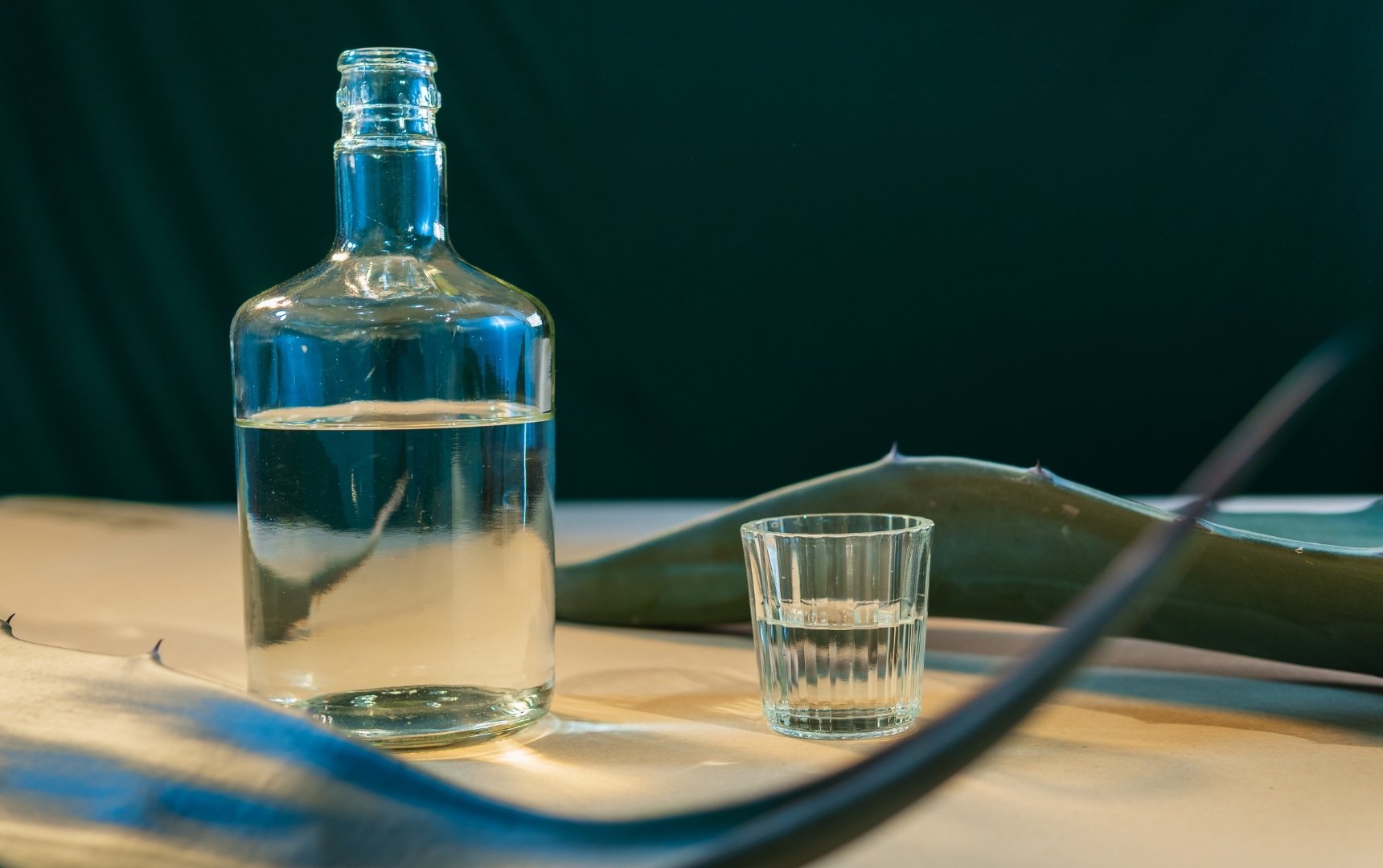 Minimizing Risk When Ordering Large Volumes of Agave Spirits or Wine