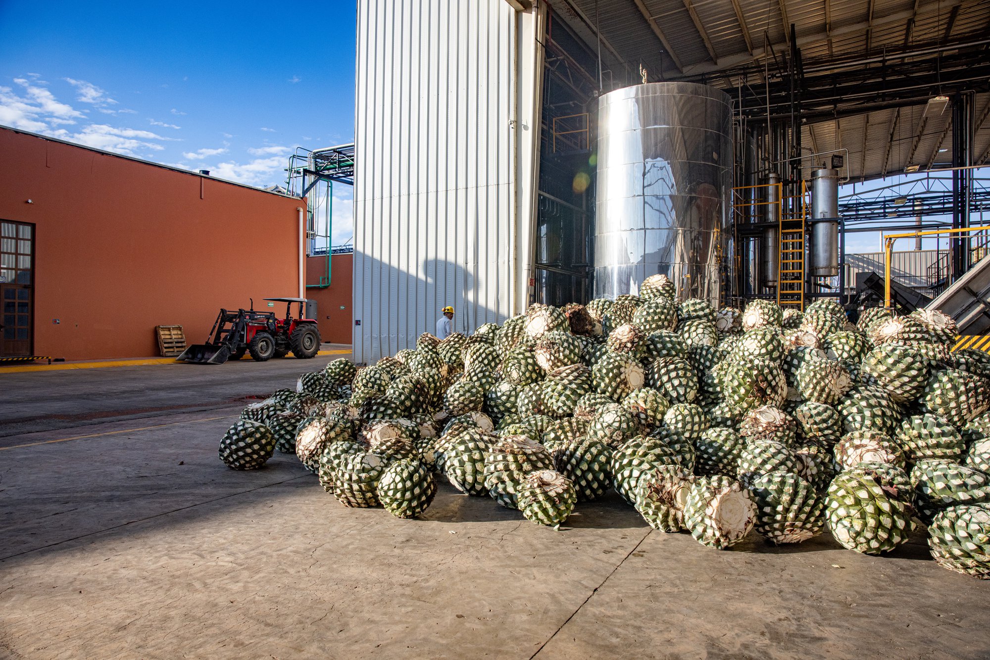 How Bulk Agave Wine Can Support Emerging Beverage Brands