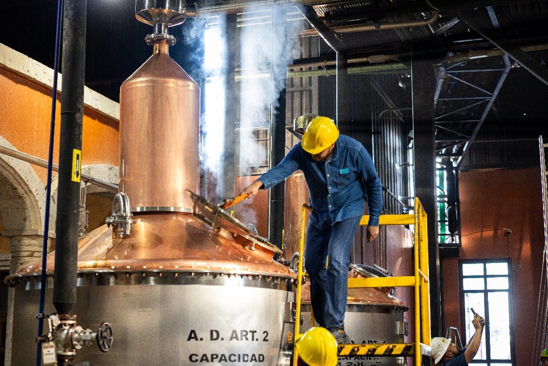 Why Agave Spirits Belong in Every Micro Distillery